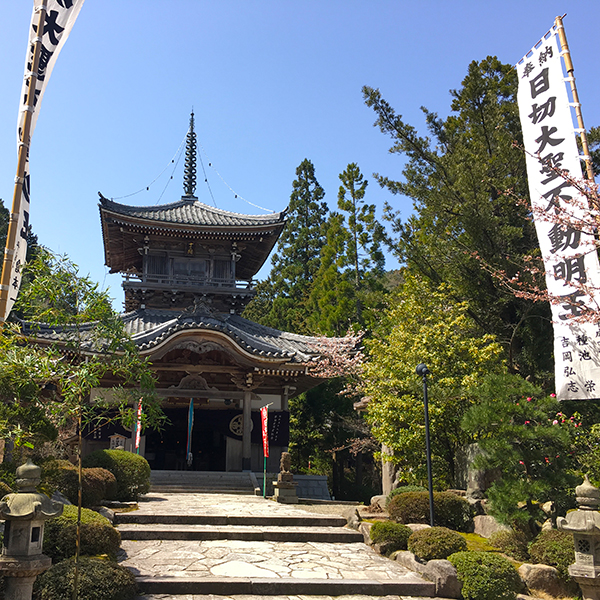 関西花の寺「如意寺」