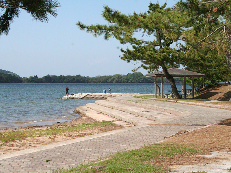 人工海浜